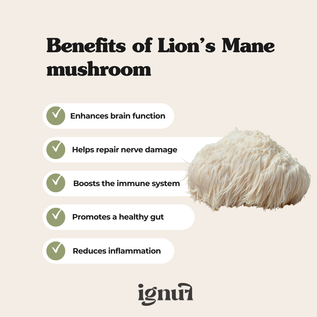 Lion's Mane "The Creator" Mushroom Extract