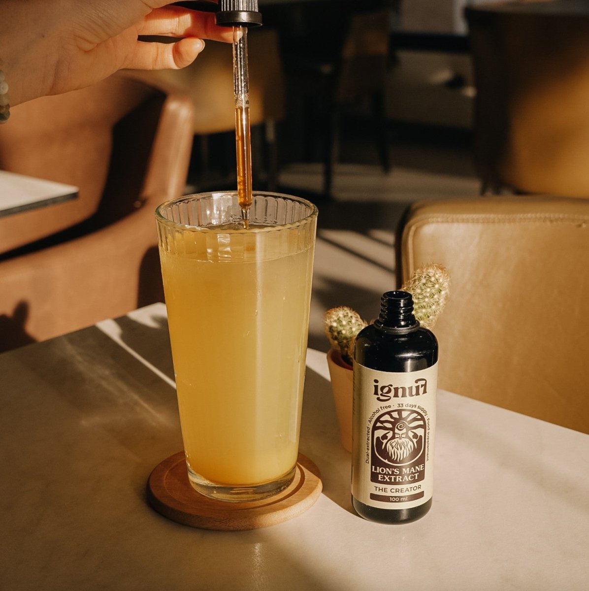 Lion's Mane "The Creator" Mushroom Extract - IGNUF