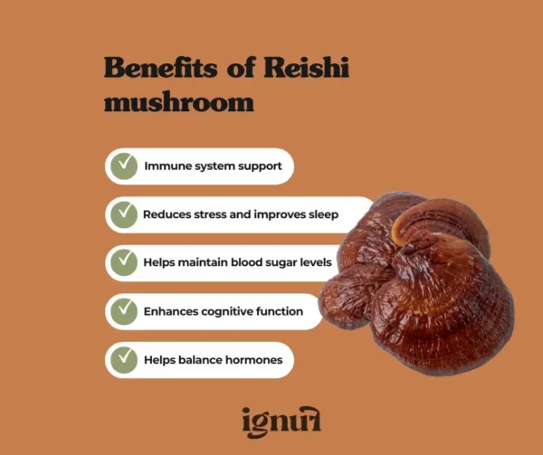 Reishi “The Zen”  </br>  Mushroom Extract - Image 4