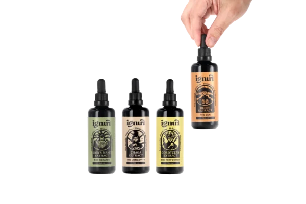 “THE QUATTRO SET” Mushroom Extract - Image 5