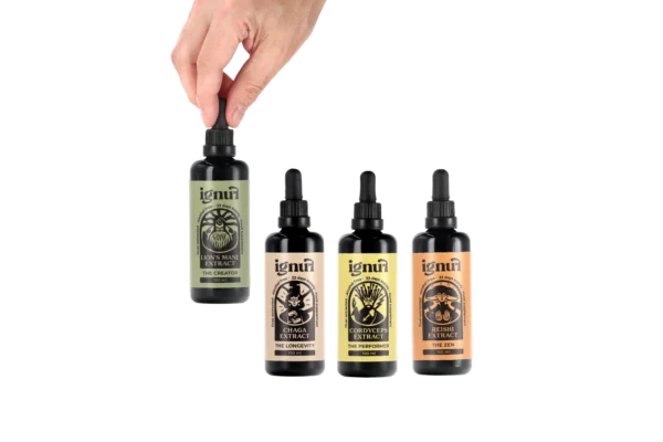 Lion's Mane  “The Creator” Mushroom Extract - Image 2