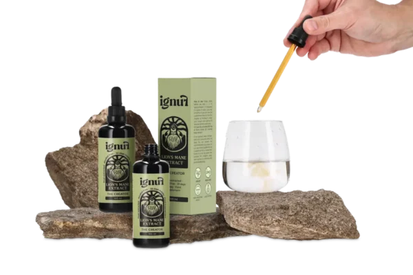 Lion's Mane  “The Creator” Mushroom Extract - Image 3
