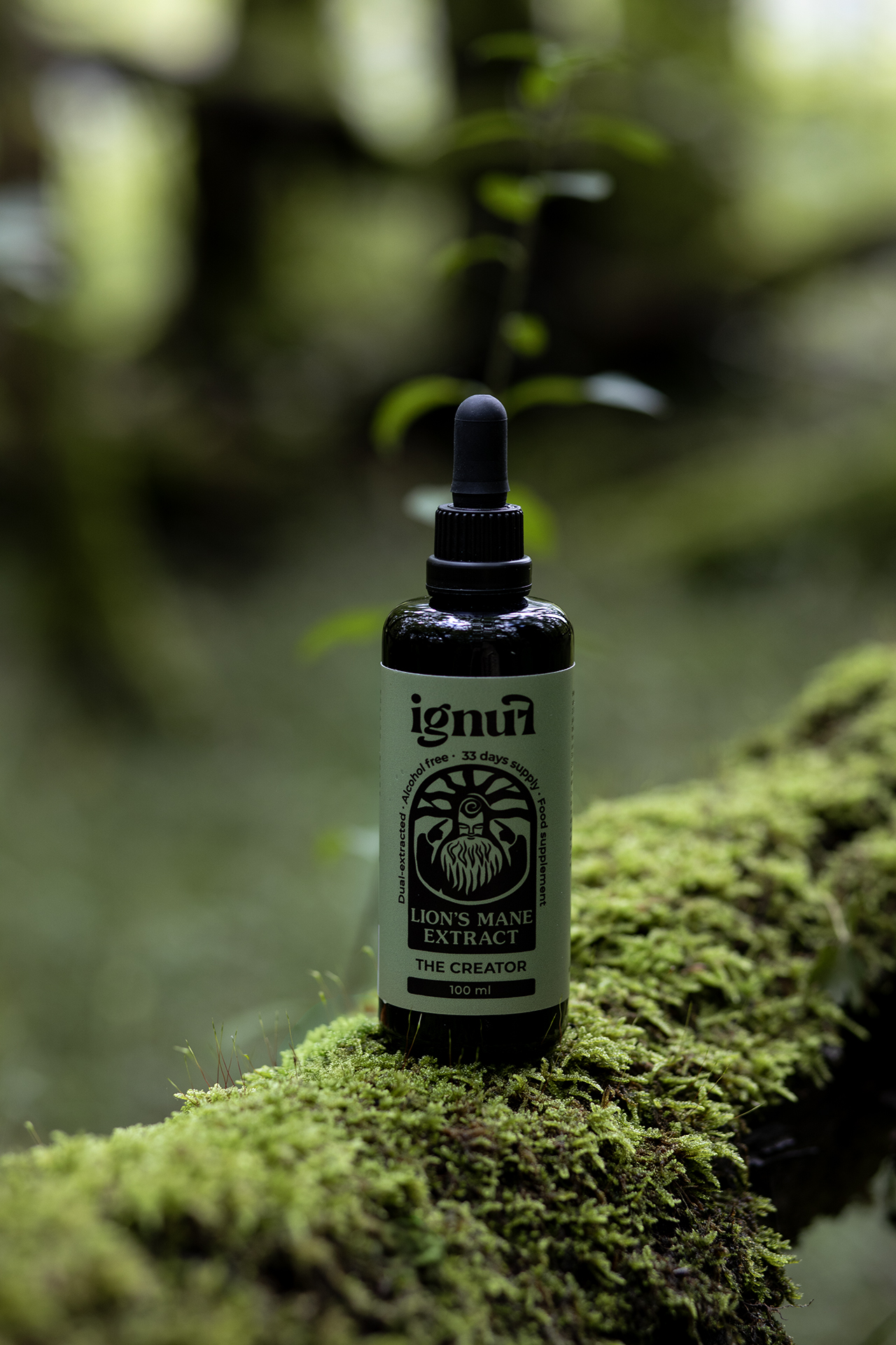 Lion's Mane benefits